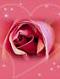   HUSSAM JOKERX