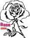   rose 2006
